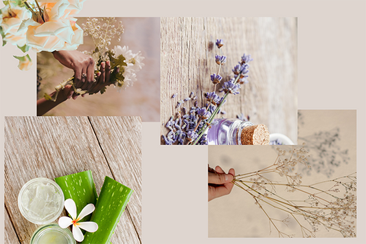 The pH Connection:  Why Matching Skincare Ingredients to Your Skin's pH is  Key for Healthy Skin