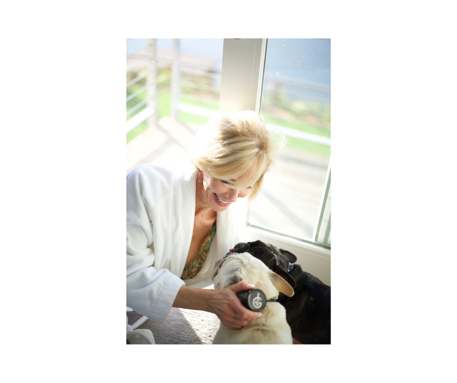 Relaxing with your dog helps to improve your quality of life