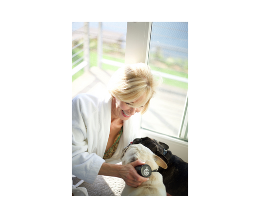 Relaxing with your dog helps to improve your quality of life