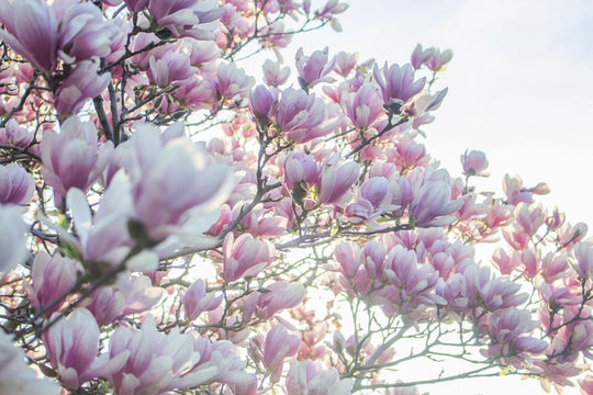 Spring Skincare Housekeeping