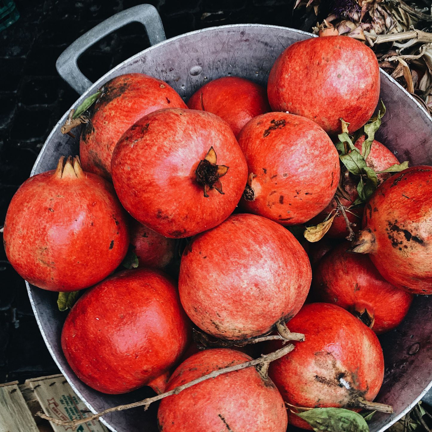 pomegrante